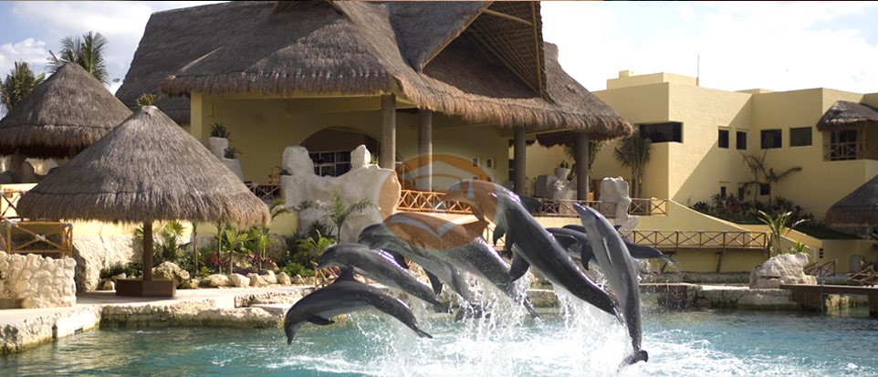 All Sorts of Jobs you like All Sorts of Jobs you like